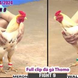 đa ga thmo