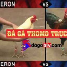 đa ga tho
