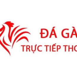 da ga thom mo hom nay