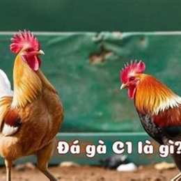 da ga thomm