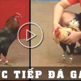 da ga thomo 10/3