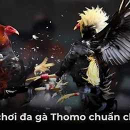 đa ga thomo 13 6