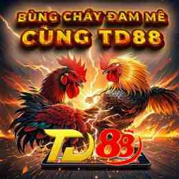 đá gà thomo 88 net