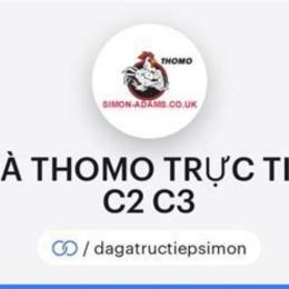đá gà thomo c1 c2 c3 c4 trực tiếp