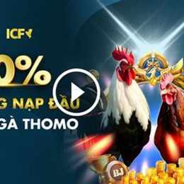 đá gà thomo c2 trực tiếp