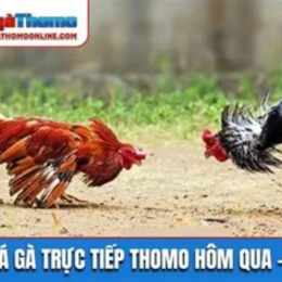 da ga thomo hom qua