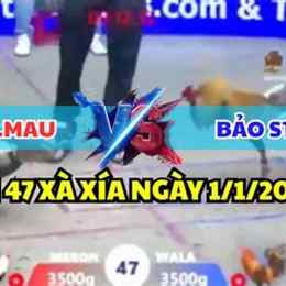 đá gà thomo trận 47 ngày 27 tháng 5