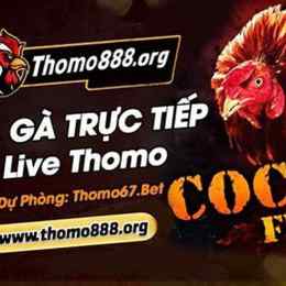 đá gà thomo trực tiếp có bình luận viên