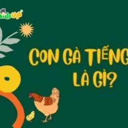 da gà tiếng anh là gì
