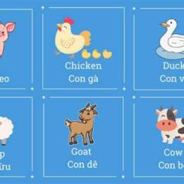 đá gà tiếng anh