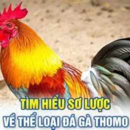 da ga tomo