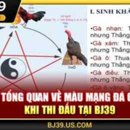 đa ga ton hon hôm nay