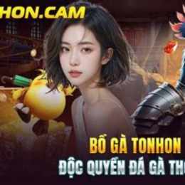 đá gà tonhon hôm qua