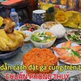 đá gà trên bàn bida