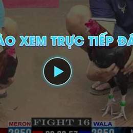 da ga truc tiep 168