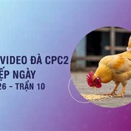 đá gạ trực tiếp 28 4