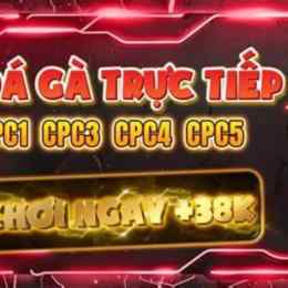 đá gà trực tiếp 888 hôm nay