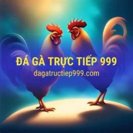 đá gà trực tiếp 999 binh luan