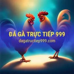 đá gà trực tiếp 999 hôm nay
