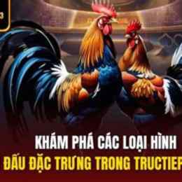 đá gà trực tiếp c3 trận 45