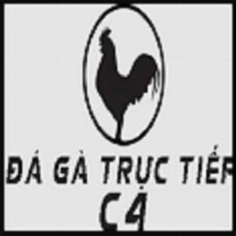 đá gà trực tiếp c4 67