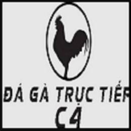 đá gà trực tiếp c4 thomo