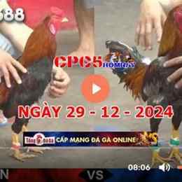 đá gà trực tiếp c5 thomo