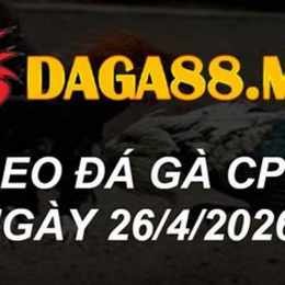 đá gà trực tiếp cpc2 26 7