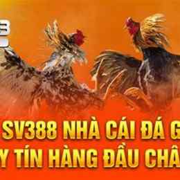 đá gà trực tiếp sv388