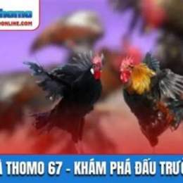 đá gà trực tiếp thomo 67 c5