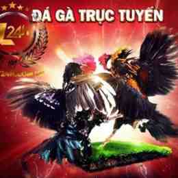 đá gà trực tuyến 999