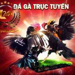 đá ga trực