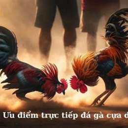 đa ga tv