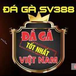 đá gà việt live sv388