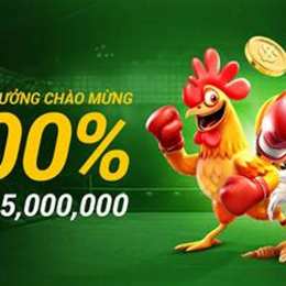 đá gà world cup