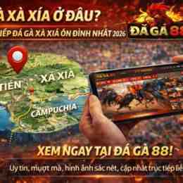 đá gà xà xíu