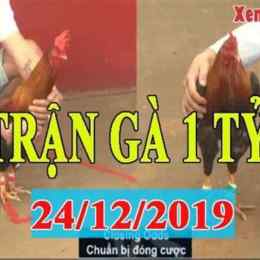 đá gà xổ 1 tỷ
