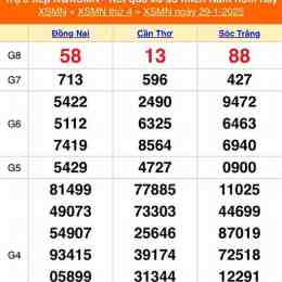 đá gà xổ số miền nam hôm nay
