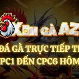 đá gà xóm gà