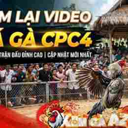 đá gà xóm làng