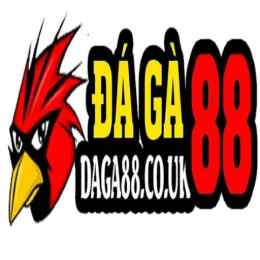 daga88 đá gà 88
