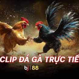 daga88 trực tiếp đá gà