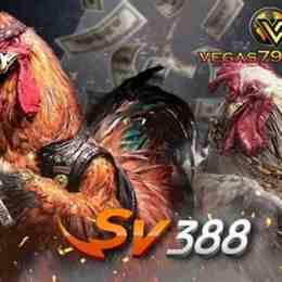 đăng ký đá gà sv388