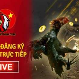 đăng ký đá gà