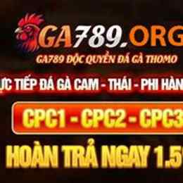 đăng nhập đá gà mwc