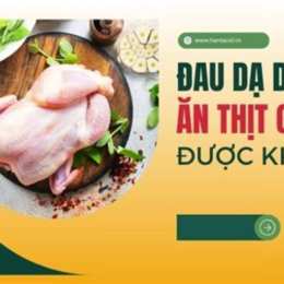 đau dạ dày có ăn thịt gà được không