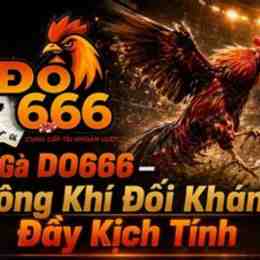do666 đá gà