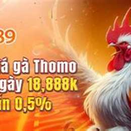 dola789 nhà cái đã gà thomo