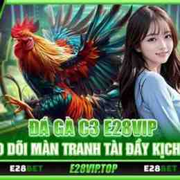 e28bet đá gà
