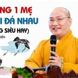 gà chung một mẹ chớ hoài đá nhau karaoke